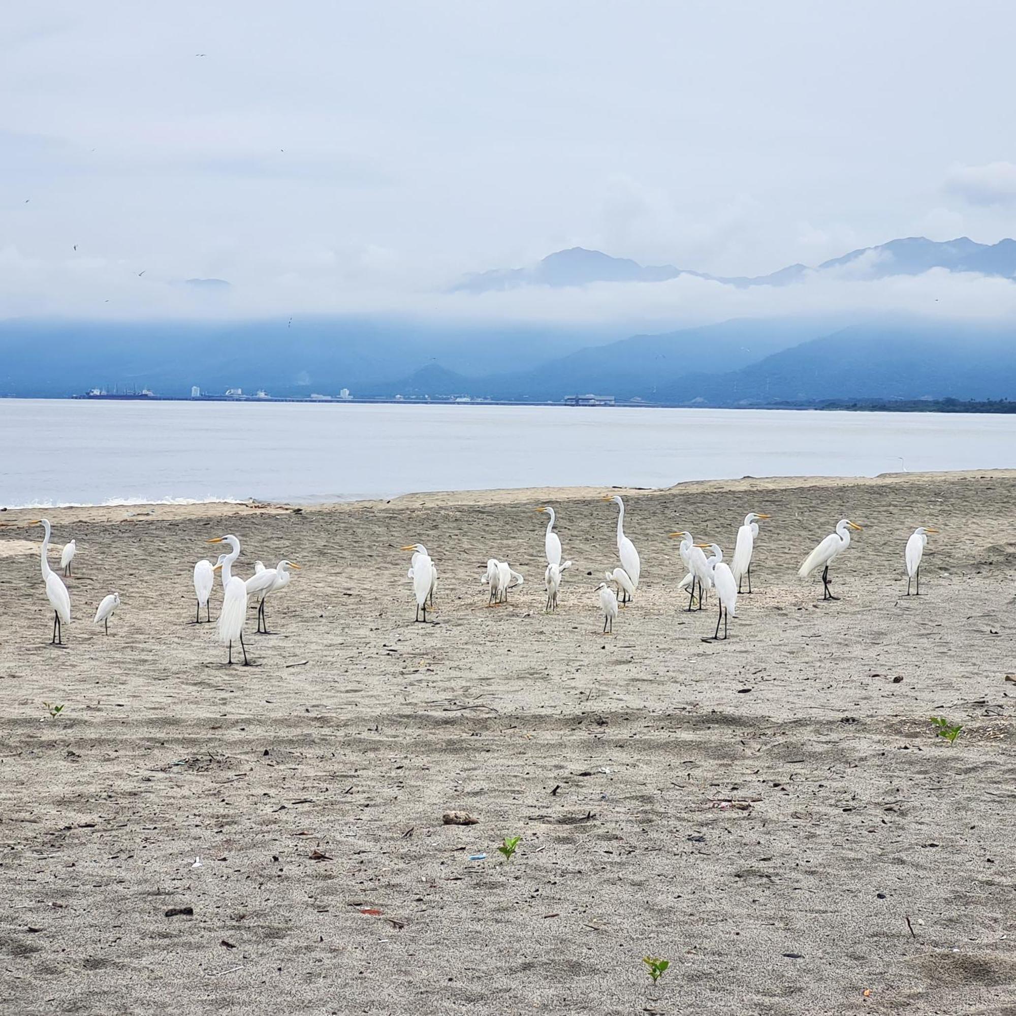 Eco-Hotel Chevere Beach Puebloviejo Bagian luar foto